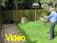 Mvi_006817
