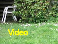Mvi_006820