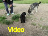 Mvi_006915