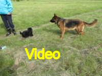 Mvi_006920