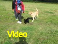 Mvi_006921
