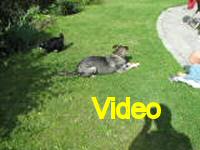 Mvi_006922