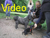 Mvi_020432